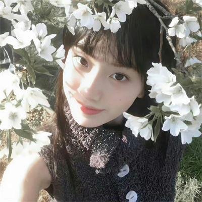 攻略陛下100次