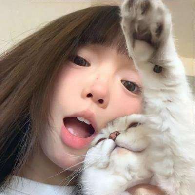 大都会
